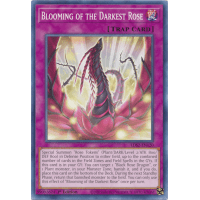 Blooming of the Darkest Rose - Legendary Duelists: Season 2 Thumb Nail