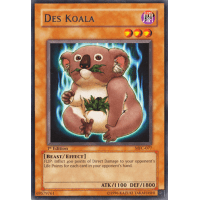 Des Koala - Magicians Force Thumb Nail