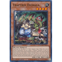 Traptrix Dionaea - Maximum Gold Thumb Nail