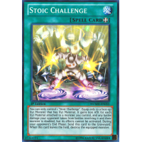 Stoic Challenge - Number Hunters Thumb Nail