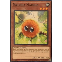 Naturia Marron - OTS Tournament Pack 20 Thumb Nail