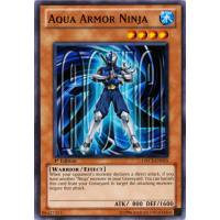 Aqua Armor Ninja - Order Of Chaos Thumb Nail