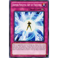 Armor Ninjitsu Art of Freezing - Order Of Chaos Thumb Nail