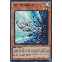 White Sardine - Phantom Nightmare Thumb Nail
