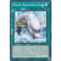 White Reincarnation - Phantom Nightmare Thumb Nail