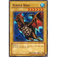 Turtle Bird - Promo Thumb Nail