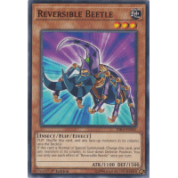 Reversible Beetle - Rising Rampage Thumb Nail