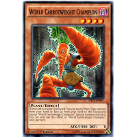 World Carrotweight Champion - Shining Victories Thumb Nail