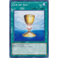 Cup of Ace - Speed Duel GX: Midterm Destruction Thumb Nail