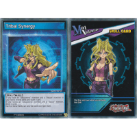 Tribal Synergy - Starter Deck: Speed Dueling Thumb Nail