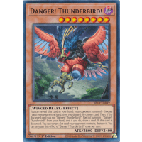 Danger! Thunderbird! - Structure Deck Dark World Thumb Nail