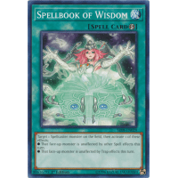 Spellbook of Wisdom - Structure Deck Order of the Spellcasters Thumb Nail
