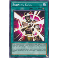 Burning Soul - Structure Deck The Crimson King Thumb Nail