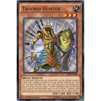 Triamid Hunter - The Dark Illusion Thumb Nail