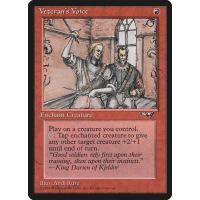 Veteran's Voice - Alliances Thumb Nail