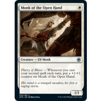 Monk of the Open Hand - D&D: Adventures in the Forgotten Realms Thumb Nail