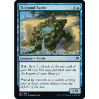 Tidepool Turtle - Dominaria United Thumb Nail