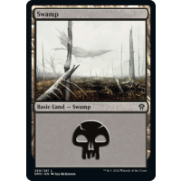 Swamp - Dominaria United Thumb Nail