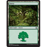 Forest B - Duel Deck: Elves Vs. Inventors Thumb Nail