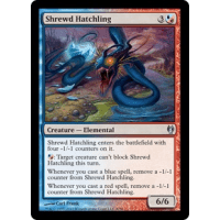 Shrewd Hatchling - Duel Deck: Izzet vs. Golgari Thumb Nail