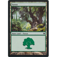 Forest - Duel Deck: Knights vs. Dragons Thumb Nail