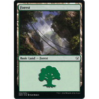 Forest B - Duel Deck: Nissa Vs. Ob Nixilis Thumb Nail