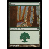 Forest B - Duel Deck: Phyrexia vs. The Coalition Thumb Nail