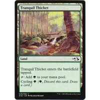 Tranquil Thicket - Duel Decks: Anthology Thumb Nail