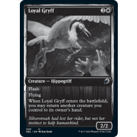 Loyal Gryff - Innistrad: Double Feature Thumb Nail