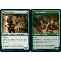 Bird Admirer // Wing Shredder - Innistrad: Midnight Hunt  Thumb Nail