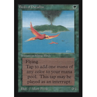 Birds of Paradise - International Edition Thumb Nail