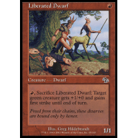 Liberated Dwarf - Judgment Thumb Nail