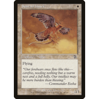 Suntail Hawk - Judgment Thumb Nail