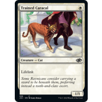 Trained Caracal - Jumpstart 2022 Thumb Nail