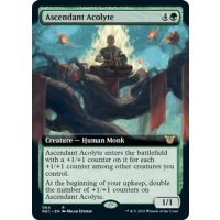 Ascendant Acolyte - Kamigawa: Neon Dynasty Commander Variants Thumb Nail