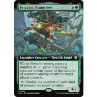 Ferrafor, Young Yew Thumb Nail