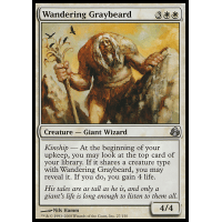 Wandering Graybeard - Morningtide Thumb Nail