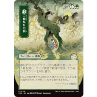 Shared Roots - Mystical Archive - Secrets of Strixhaven Japanese Variants Thumb Nail