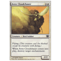 Aven Cloudchaser - Ninth Edition Thumb Nail