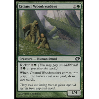 Citanul Woodreaders - Planar Chaos Thumb Nail