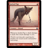 Jackal Pup - Premium Deck Series: Fire and Lightning Thumb Nail