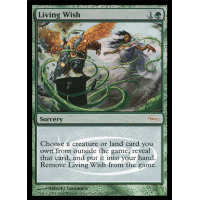 Living Wish - Promo Thumb Nail