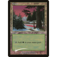 Forest - Promo Thumb Nail