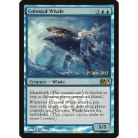 Colossal Whale - Promo Thumb Nail
