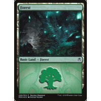 Forest - Promo Thumb Nail