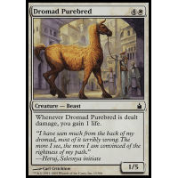Dromad Purebred - Ravnica City of Guilds Thumb Nail