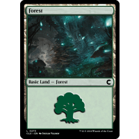 Forest - Ravnica: Clue Edition Thumb Nail