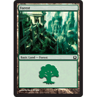 Forest E - Return to Ravnica Thumb Nail