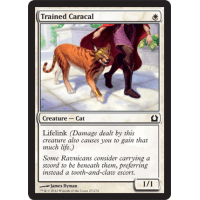 Trained Caracal - Return to Ravnica Thumb Nail