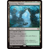 Festering Thicket - Secrets of Strixhaven Commander Thumb Nail